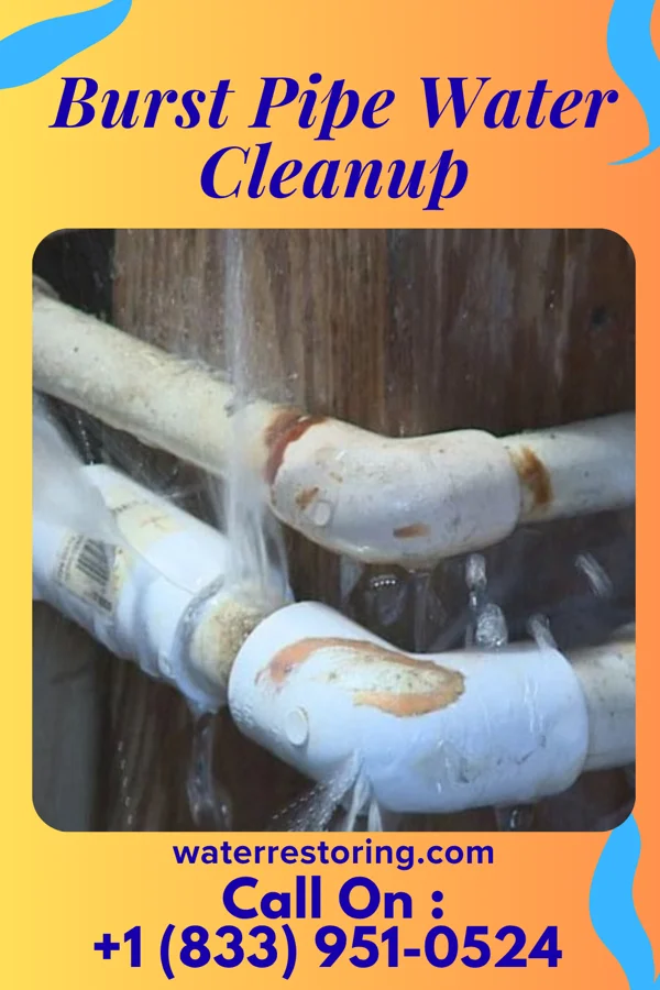 Burst Pipe Water Cleanup in Indian Trail, NC