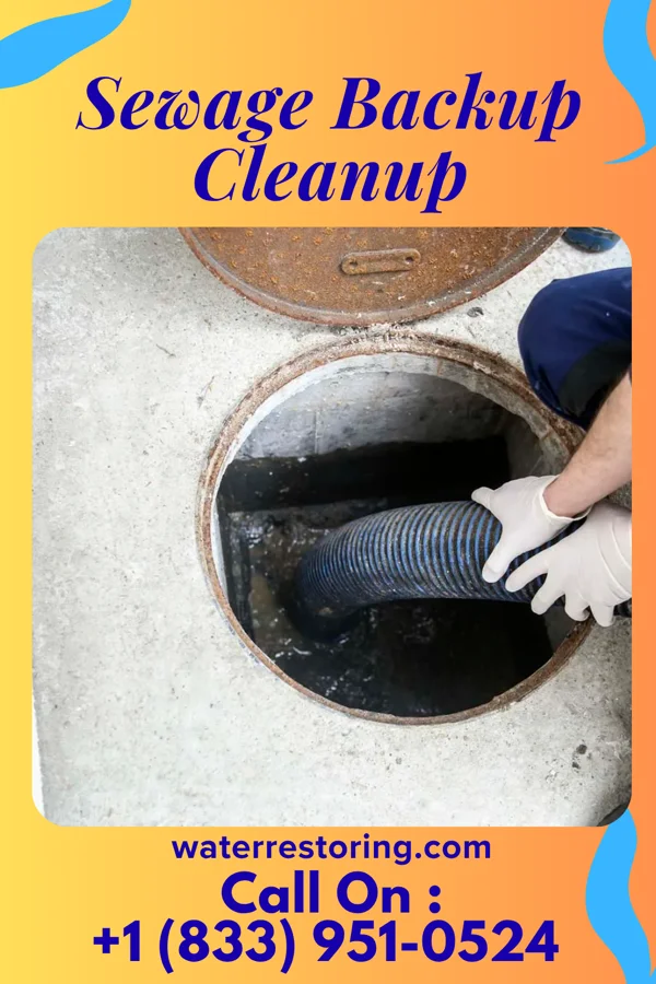 Sewage Backup Cleanup in Indian Trail, NC