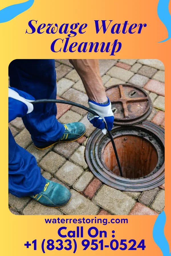 Sewage Water Cleanup in Indian Trail, NC