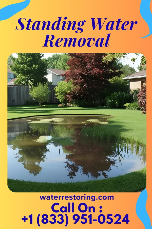Standing Water Removal in Indian Trail, NC